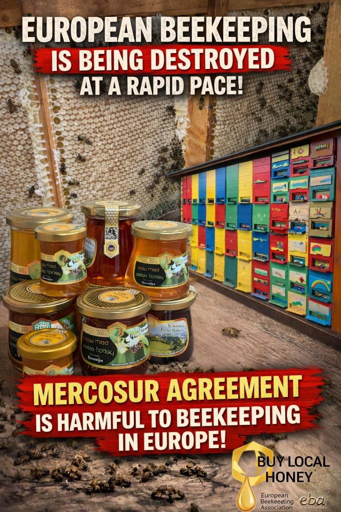 Sporazum Mercosur je škodljiv za čebelarstvo v Evropi!